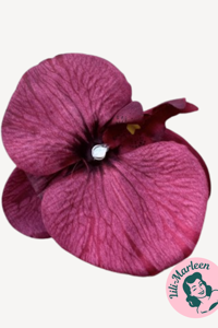 Gigant Orkide Hårclips med Krokodillespænde, vinrød